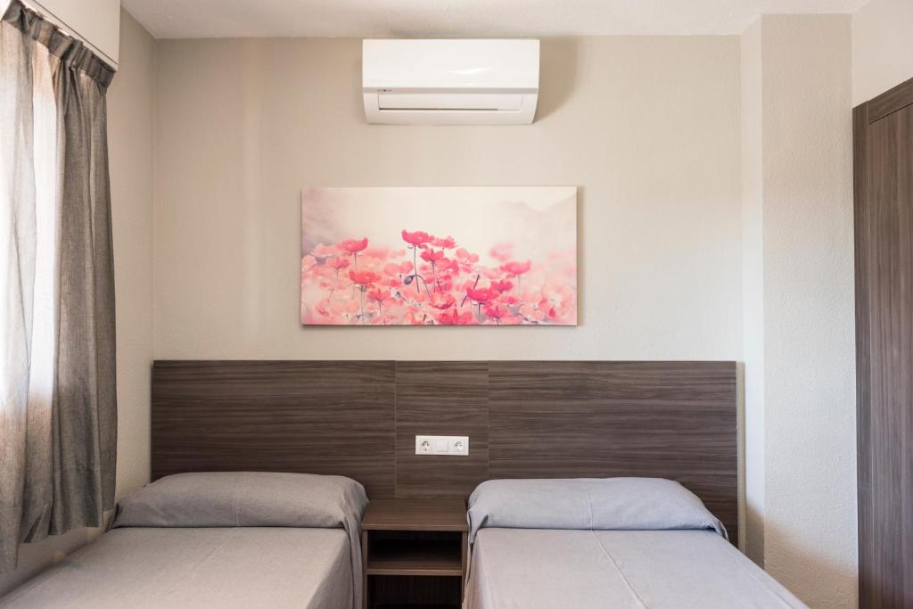 Apartamentos Michel 5